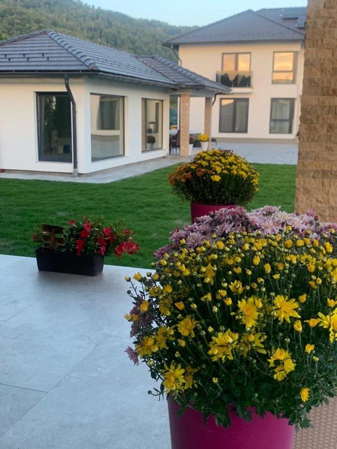 Vila Diamond Lux&Spa Sovata Exteriör bild