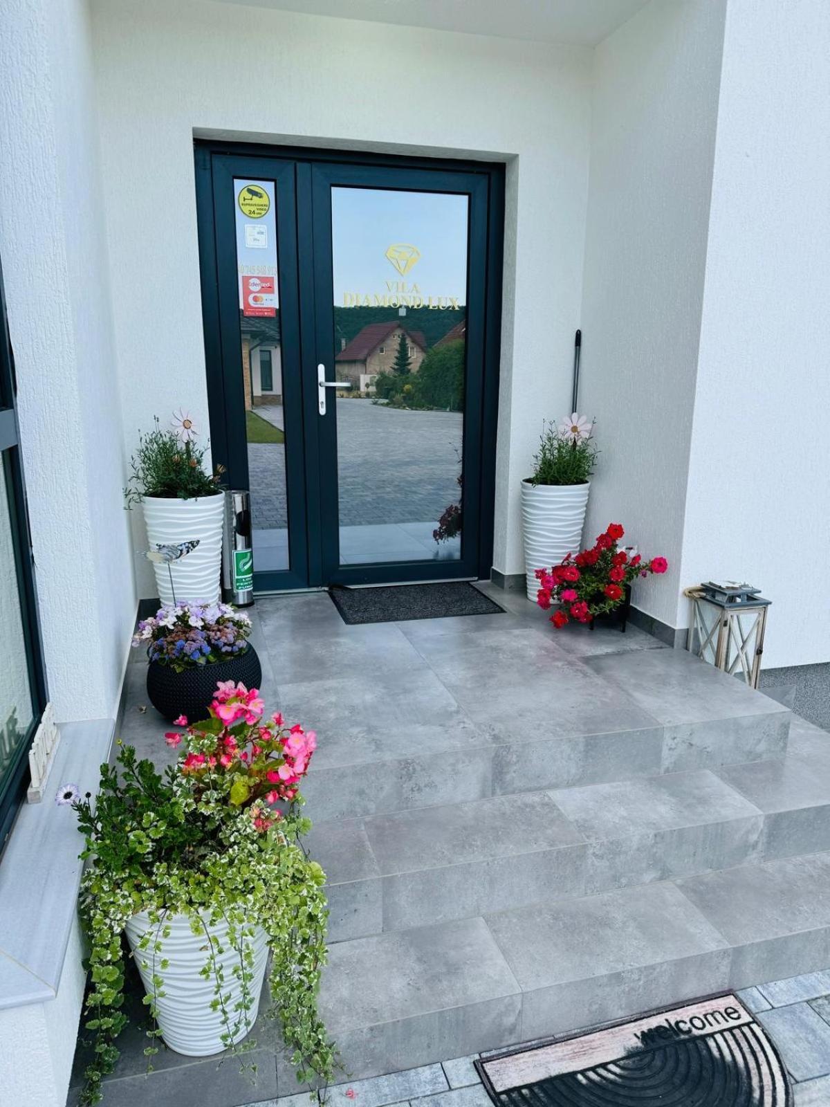 Vila Diamond Lux&Spa Sovata Exteriör bild