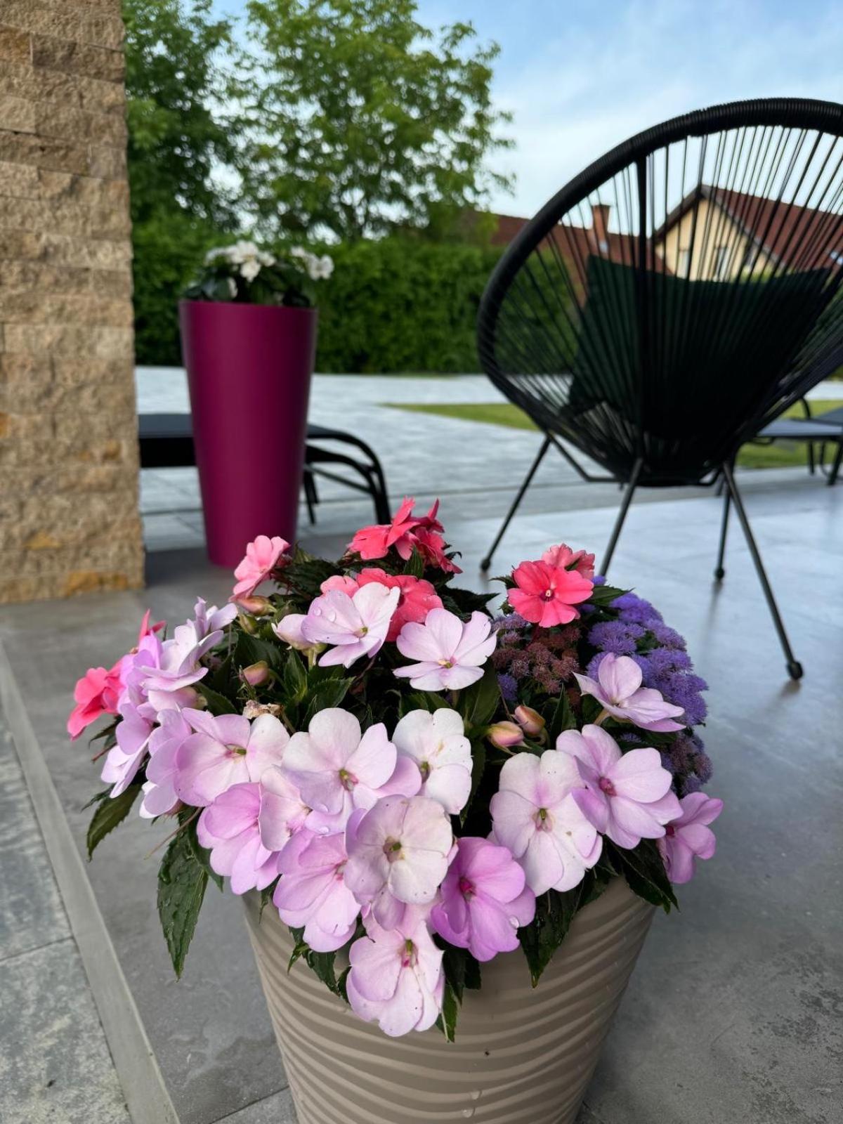 Vila Diamond Lux&Spa Sovata Exteriör bild